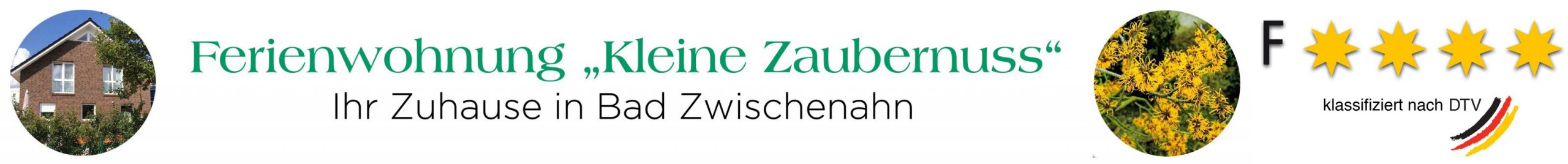 Logo-Zaubernuss-gruen-2-zeilig-Americana-mit-2-Bildern-und _Zertifikat